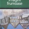 IMAGINI FRUMOASE- SIMONE DE BEAUVOIR-254890