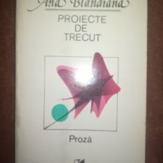 Proiecte de trecut proza- Ana Blandiana