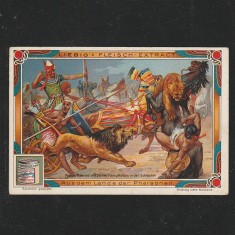 Reclama Litografie &ldquo;Ausdem Lande der Pharaonen - Faraonul Ramses cu leii sai in lupta&rdquo; 1900