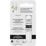 Balsam de buze protector cu extract de lemon balm, Dr. Scheller, 4.8 gr