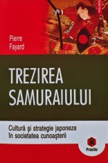 Trezirea samuraiului. Cultura si strategie japoneze in societatea cunoasterii - 2007 - Pierre Fayard (BF112)