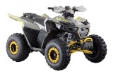 ATV Barton Terrax 125cc, 4 timpi, 3+1 viteze, roti de 8&quot;, culoare gri Cod Produs: MX_NEW MXTERRAX125G