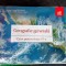 GEOGRAFIE GENERALA CLASA A V A CAIET - RADULESCU , VOICU , LAZAR ,DATCU