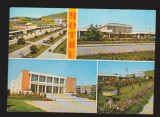 CPIB 19720 CARTE POSTALA - MOTRU, MOZAIC, Circulata, Fotografie