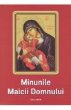 Minunile Maicii Domnului - Nicodim Mandita