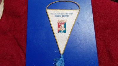 fanion CMEFS Bucuresti foto