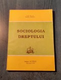 Sociologia dreptului Maria Voinea