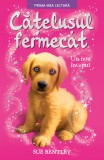 Cumpara ieftin Cățelușul fermecat. Un nou &icirc;nceput.