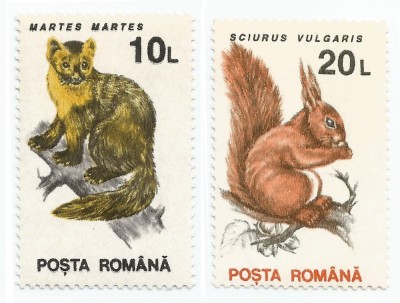 Rom&amp;acirc;nia, Lp 1318/1993, Animale (uzuale), h&amp;acirc;rtie cretată foto