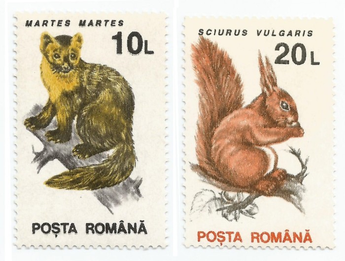 Rom&acirc;nia, Lp 1318/1993, Animale (uzuale), h&acirc;rtie cretată