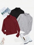 Cumpara ieftin Set 3 pulovere, pe guler inalt, multicolor, dama, Shein