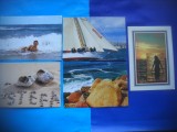 HOPCT LOT NR 786 LITORAL ROMANIA -CT-5 CARTI POSTALE-RSR-NECIRCULATE, Circulata, Printata, Constanta