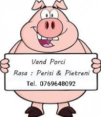 Vand porci 100kg foto