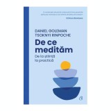 De ce meditam. De la stiinta la practica, Daniel Goleman, Tsoknyi Rinpoche, Curtea Veche Publishing