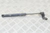 Amortizor capota st&acirc;nga față BMW 5 F10 2012 OEM: 7309117 13178452