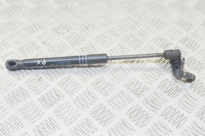 Amortizor capota st&amp;acirc;nga față BMW 5 F10 2012 OEM: 7309117 13178452 foto