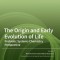 The Origin and Early Evolution of Life: Prebiotic Systems Chemistry Perspective