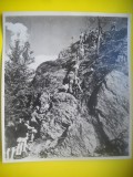 HOPCT 544 D- FOTOGRAFIE VECHE-D= 21 / 18 CM - ALPINISM CATARARE -SCOALA CANADIANA -CONCURS IN SUA -SPORT-1947-FOTO AGENTIA NEW YORK TIMES PHOTOS 1947