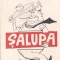 Dumitru Badea - Salupa