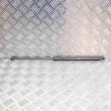 Amortizor haion dreapta TOYOTA C-HR _X1_ 2019 OEM: 68960-F4051 11734369