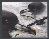 TERITORIILE FRANCEZE DIN ANTARCTICA TAAF 2022 FAUNA PASARI