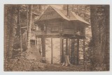 bnk cp Sinaia - Cuibul Princesei - necirculata