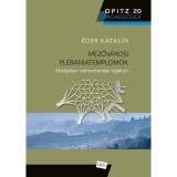 Mezőv&aacute;rosi pl&eacute;b&aacute;niatemplomok k&ouml;z&eacute;pkori v&aacute;rosmentes t&aacute;jakon - &Eacute;der Katalin