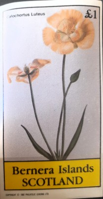 Bernera Island 1979 flori, plante, flora bloc nedant. Mnh foto