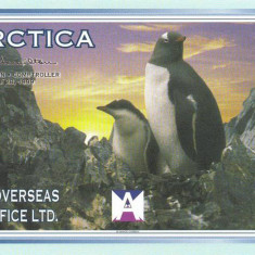 ANTARCTICA █ bancnota █ 2 Dollars █ 1999 █ UNC █ necirculata █