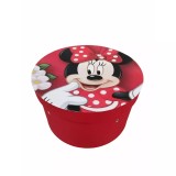 Cumpara ieftin Cutie Transport Trusou Botez, Minnie Rosie - CTB26