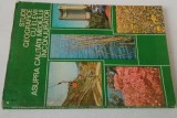 Studii geografice cu elevii asupra calitatii mediului inconjurator - 1981