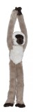 Maimuta care se agata Vervet, Wild Republic