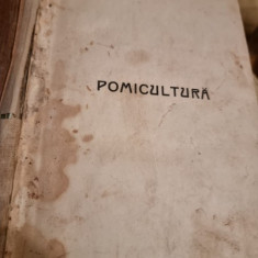 Gr. Marunteanu Sfinx - Pomicultura. Tratat practic pentru cultura pomilor roditori la noi in tara