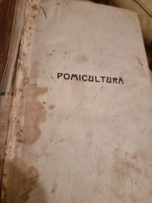 Gr. Marunteanu Sfinx - Pomicultura. Tratat practic pentru cultura pomilor roditori la noi in tara foto