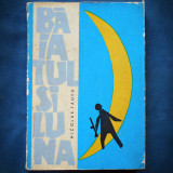 Cumpara ieftin BAIATUL SI LUNA - NICOLAE TAUTU - Carte Povesti Copii - Livrare Rapida