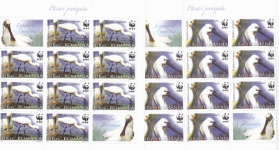 WWF PASARI PROTEJATE,MINICOLI,Lp.1744cb,2006, MNH ** ROMANIA. foto