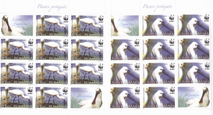 WWF PASARI PROTEJATE,MINICOLI,Lp.1744cb,2006, MNH ** ROMANIA.