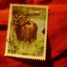 Timbru Congo 1993 - Fauna - Bivol val 200 fr stampilat