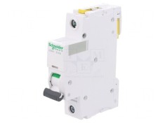 &Icirc;ntrerupător Supracurent 230V 20A 1P B