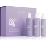 ICONIQUE Professional COOL LIKE YOU Perfect Blonde &amp; Silver Violet Set set neutralizeaza tonurile de galben