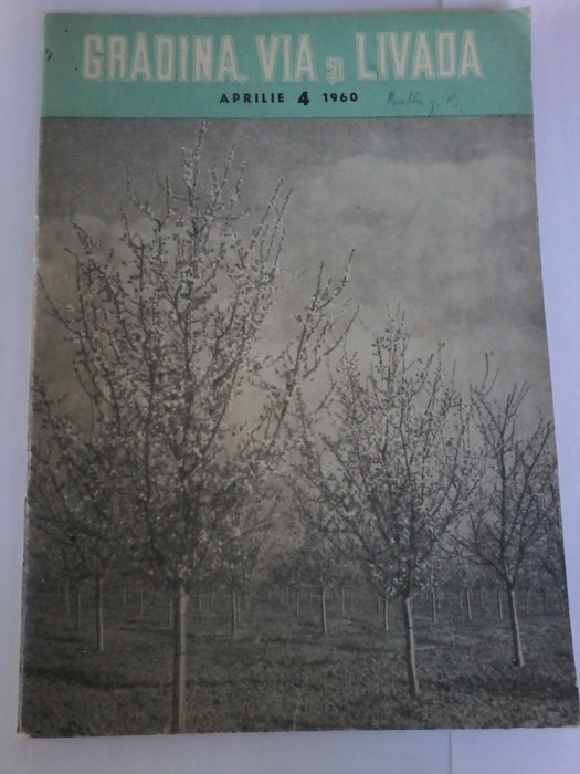 Gradina, via si livada. Revista de stiinta si practica hortiviticola nr.4/1960