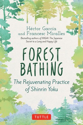 Forest Bathing: The Rejuvenating Practice of Shinrin Yoku foto