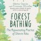 Forest Bathing: The Rejuvenating Practice of Shinrin Yoku
