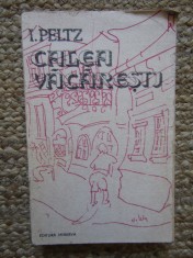 I. Peltz - Calea Vacaresti