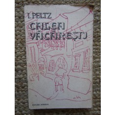 I. Peltz - Calea Vacaresti