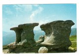 BABELE MUNTII BUCEGI FOTO D F DUMITRU