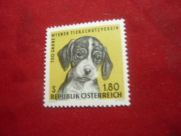 Serie AUSTRIA 1966 - 120 Ani Asociatia Vieneza de Caini, 1 valoare