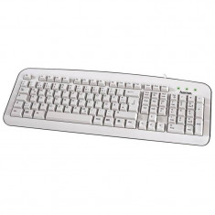 Tastatura Hama Basic K210 White foto