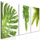 Cumpara ieftin Tablou - Beautiful Palm Trees (3 Parts) 120x60 cm