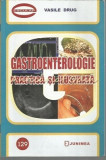 Gastroenterologie Practica Si Ilustrata - Vasile Drug